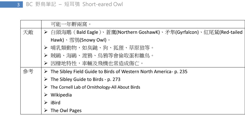 235-1 短耳鴞 Short-eared Owl-3.jpg