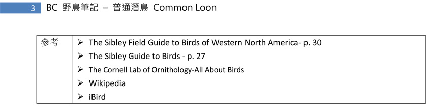 28-1 普通潛鳥 Common Loon-3.jpg