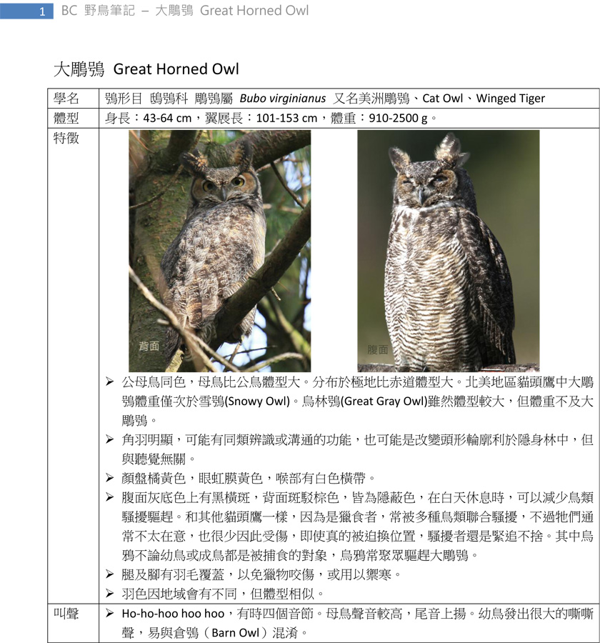 239 大鵰鴞 Great Horned Owl-1.jpg