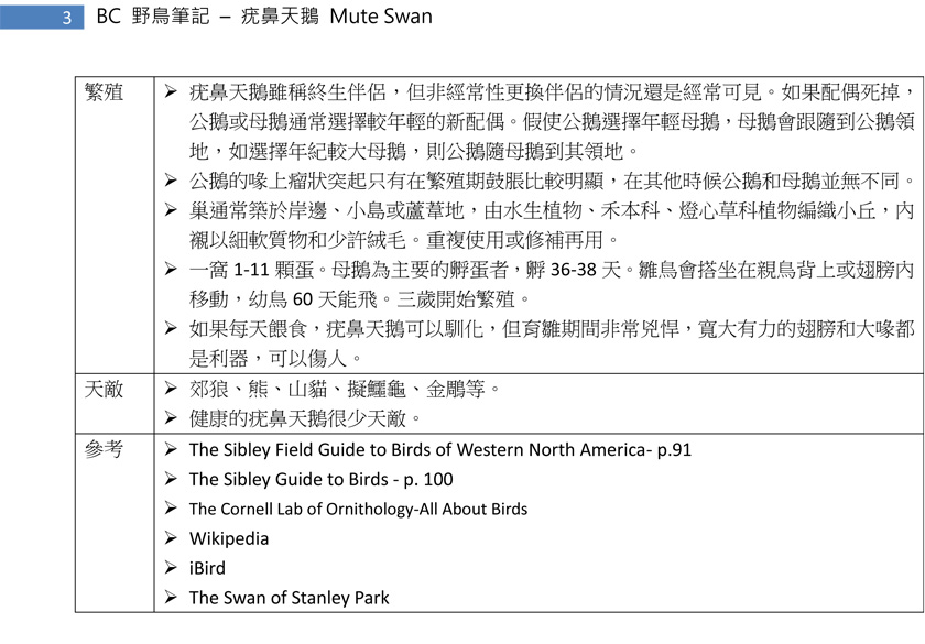 66-2 疣鼻天鵝 Mute Swan-3.jpg