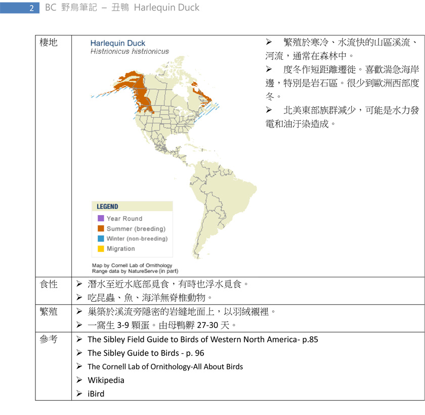 85-1 丑鴨 Harlequin Duck-2.jpg