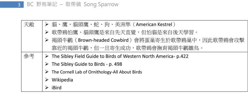422 歌帶鵐 Song Sparrow-3.jpg