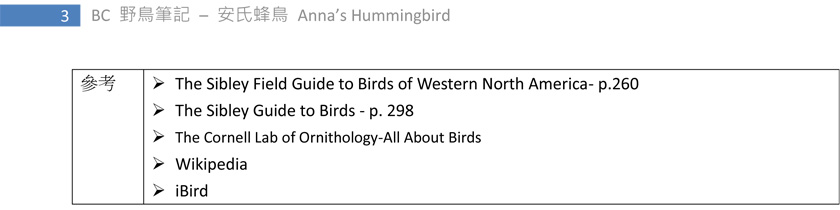 260-1 安氏蜂鳥 Anna's Hummingbird-3.jpg