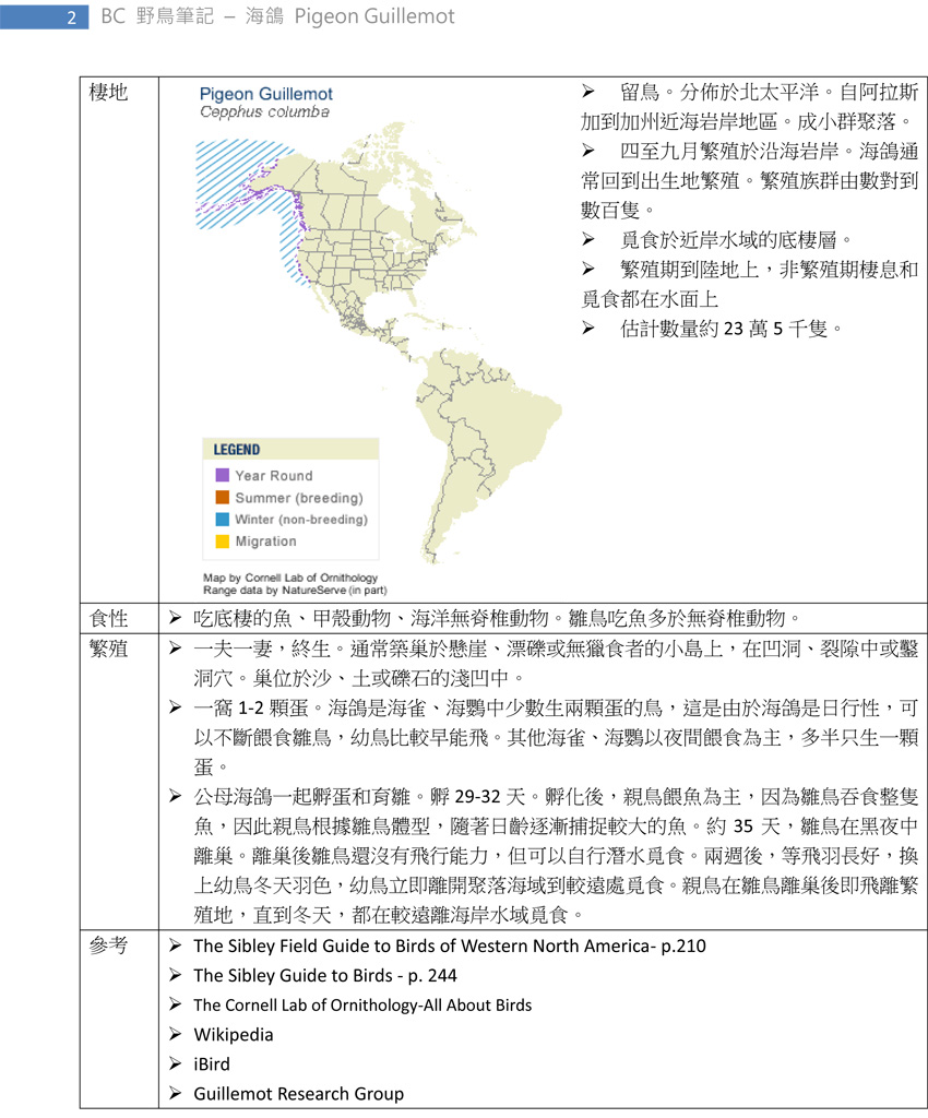 210-1 海鴿 Pigeon Guillemot-2.jpg