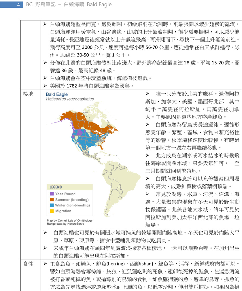 113 白頭海鵰 Bald Eagle-4.jpg