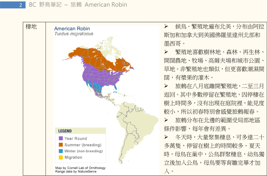 345 旅鶇 American Robin-2.jpg