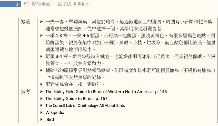 146-1 雙領鴴 Killdeer-3.jpg