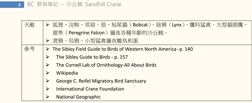 140 沙丘鶴 Sandhill Crane-4.jpg