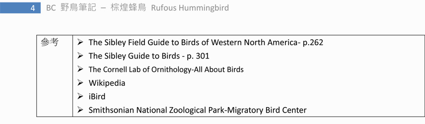 262-1 棕煌蜂鳥 Rufous Hummingbird-4.jpg