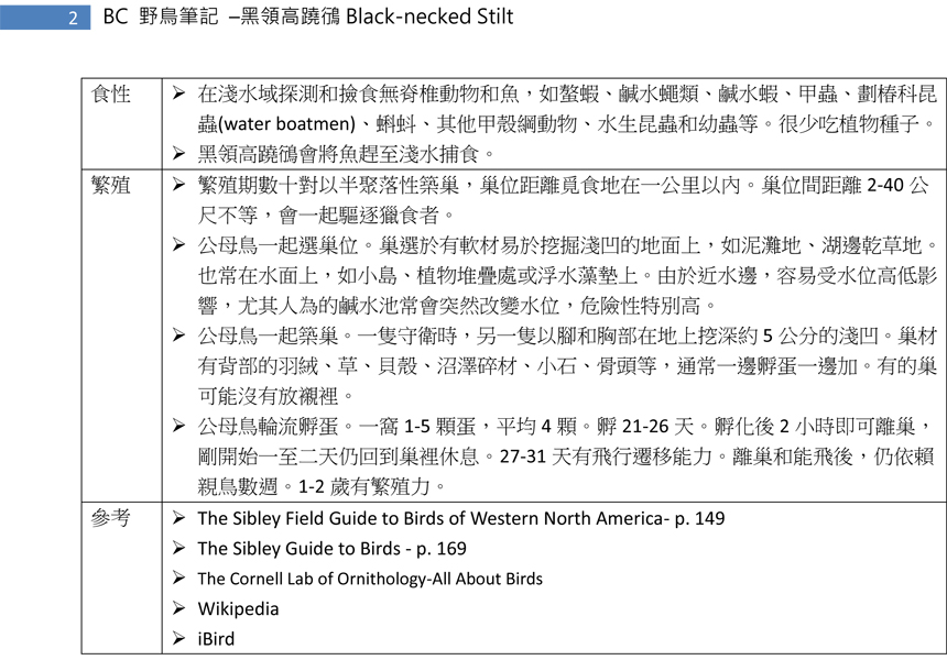 149-1 黑領高蹺鴴 Black-necked Stilt-2.jpg