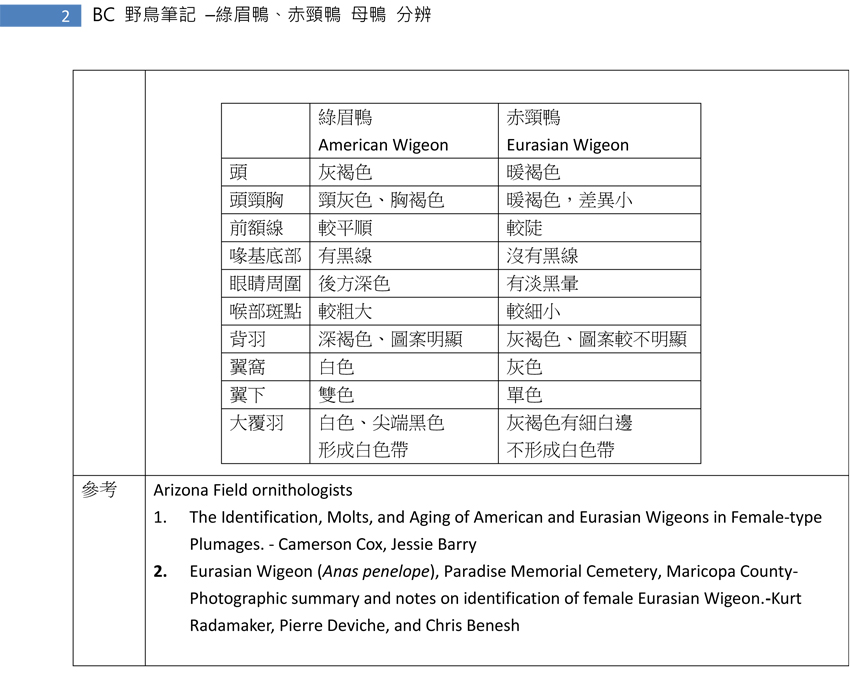 77  綠眉鴨和赤頸鴨 母鴨 分辨-2.jpg