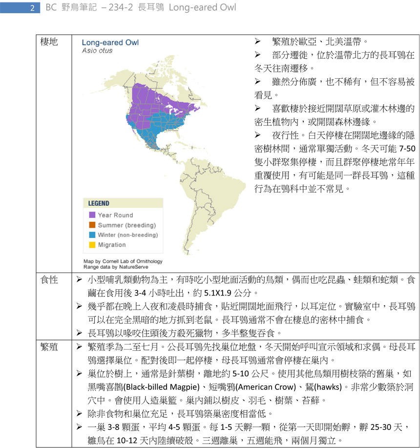 234-2 長耳鴞 Long-eared Owl-2.jpg