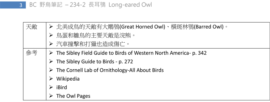 234-2 長耳鴞 Long-eared Owl-3.jpg