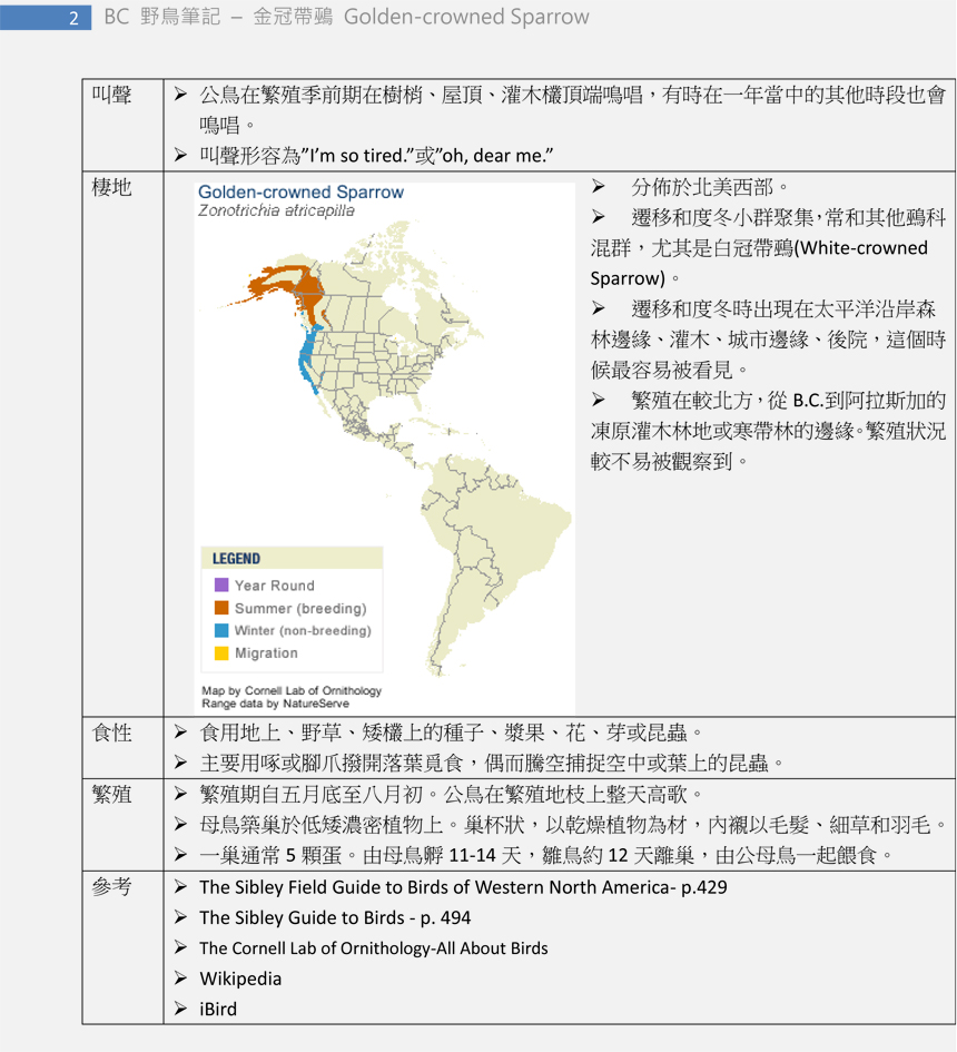 429 金冠帶鵐 Golden-crowned Sparrow-2.jpg