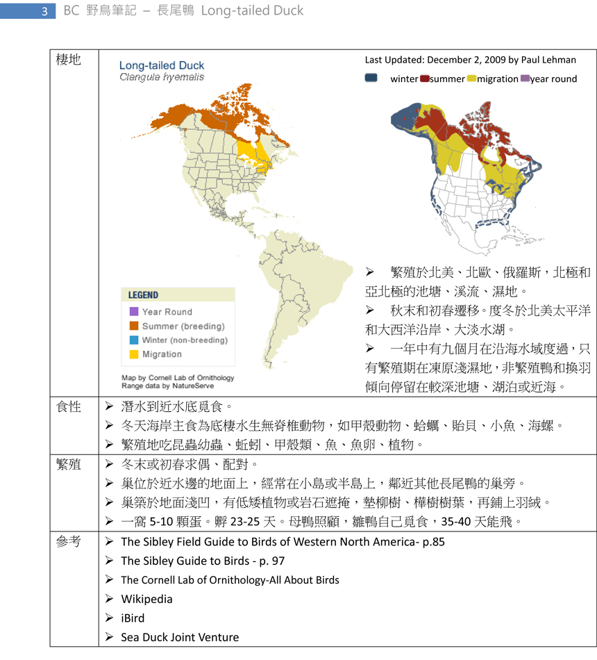 85-2 長尾鴨Long-tailed Duck-3.jpg