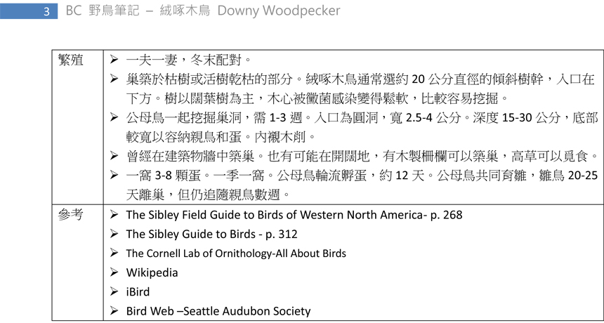 268 絨啄木鳥 Downy Woodpecker-3.jpg