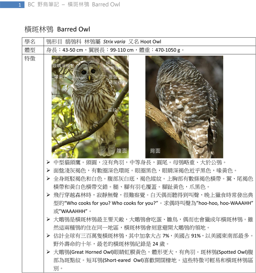 241 橫斑林鴞 Barred Owl-1.jpg