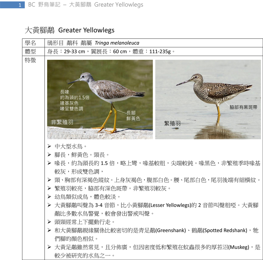 152 大黃腳鷸 Greater Yellowlegs-1.jpg