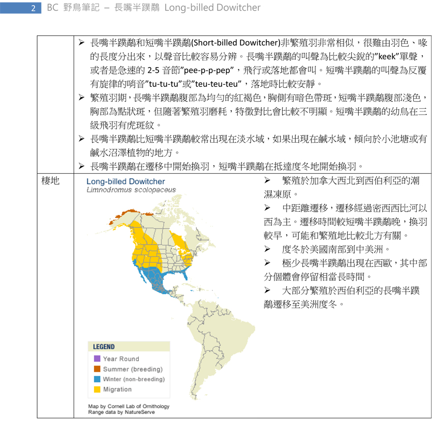 170 長嘴半蹼鷸 Long-billed Dowitcher-2.jpg