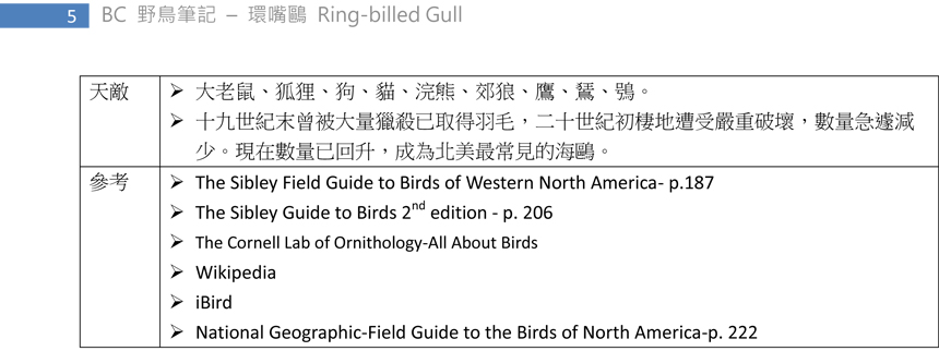 187 環嘴鷗 Ring-billed Gull-5.jpg
