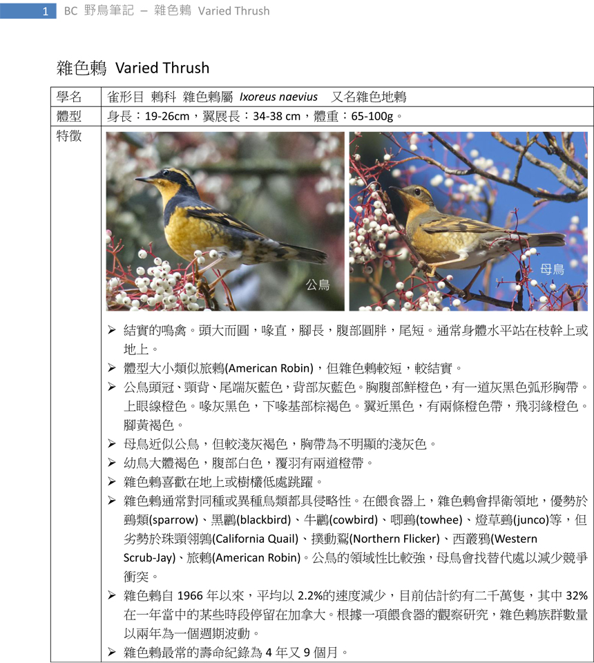 344 雜色鶇 Varied Thrush-1.jpg