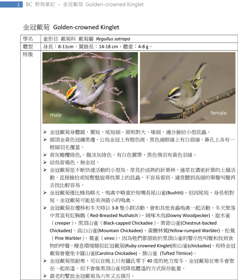 336-1 金冠戴菊 Golden-crowned Kinglet-1.jpg