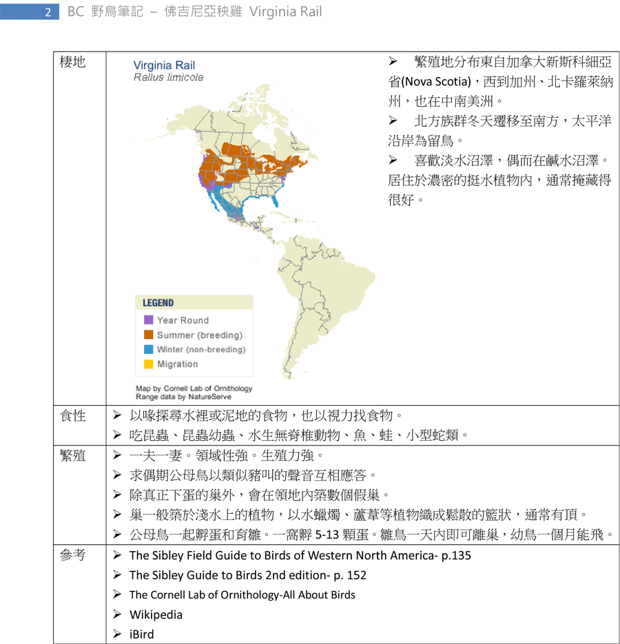 135-1 弗吉尼亞秧雞 Virginia Rail-2.jpg